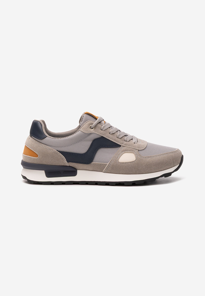 Muške sneakers Darwin sivo