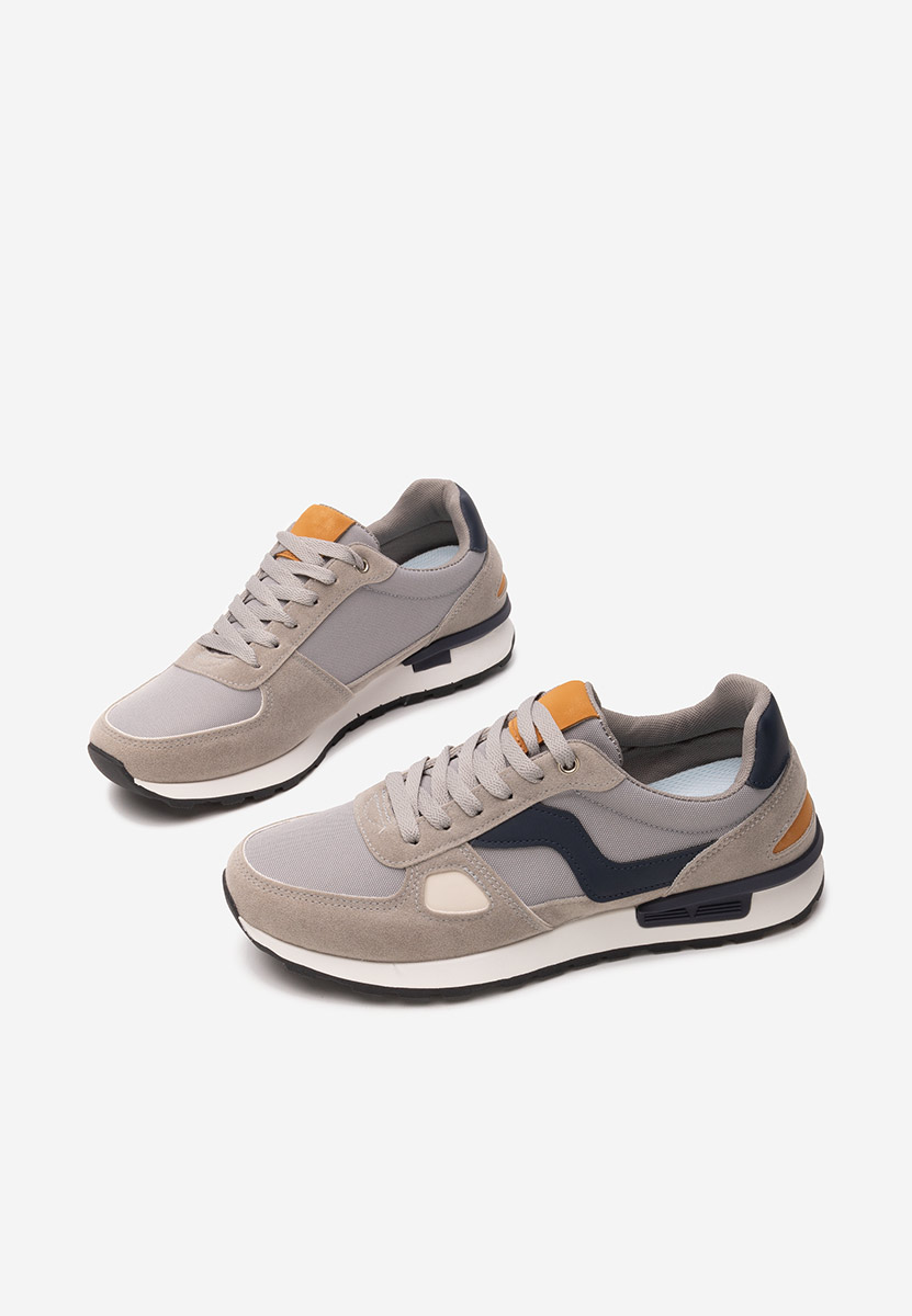 Muške sneakers Darwin sivo