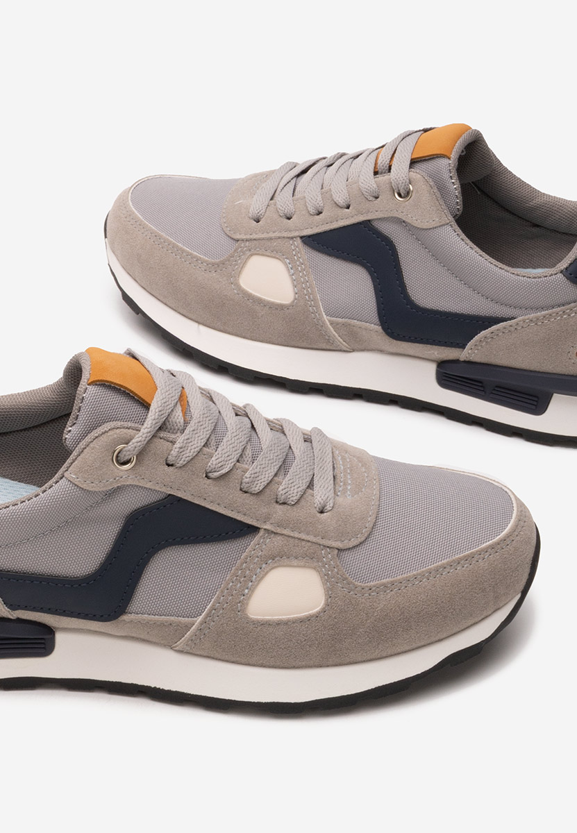 Muške sneakers Darwin sivo
