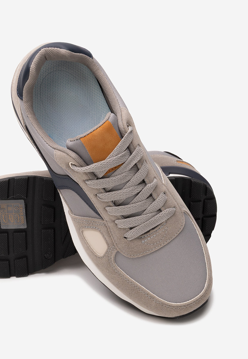 Muške sneakers Darwin sivo