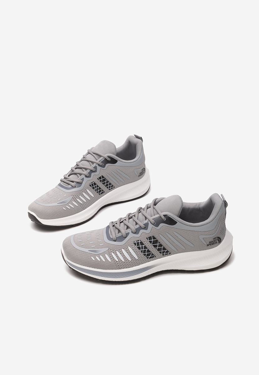 Muške sneakers Rodney sivo